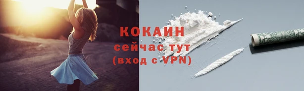 MESCALINE Лабытнанги