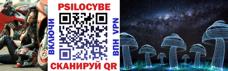 блэк спрут как войти  Топки  shop состав  Псилоцибиновые грибы GOLDEN TEACHER 