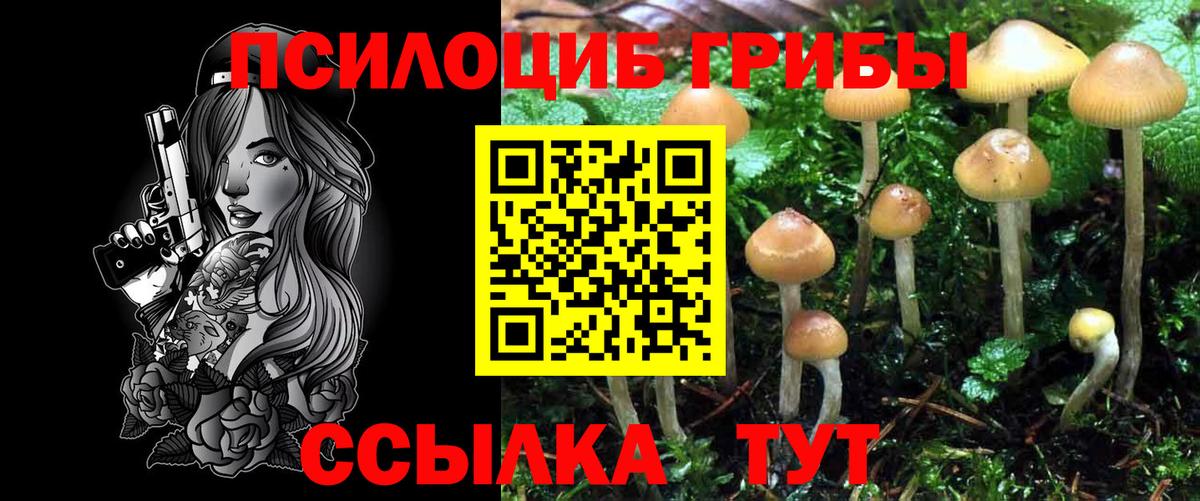 продажа наркотиков  Псилоцибиновые грибы мухоморы  Вход с VPN  Топки  Псилоцибиновые грибы GOLDEN TEACHER 